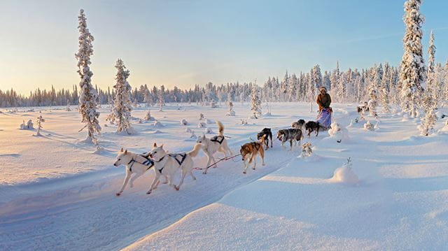 Lapland adventure 2